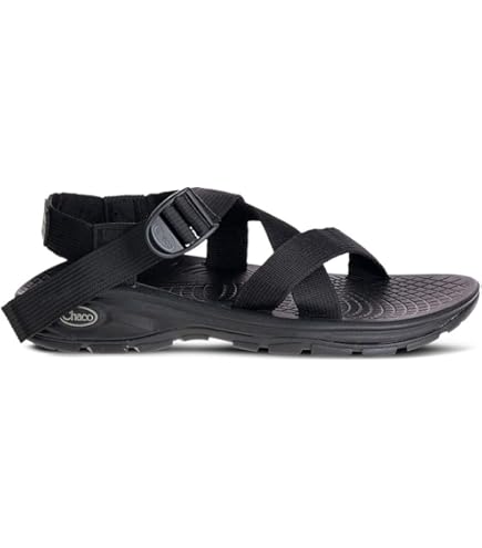 Amazon.com: Chacos JCH107903ZSERPENTNAVYM08.0: Men's Zcloud